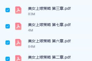 《美女上嫁策略》陈昌文PDF