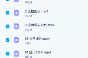 《网聊速约技术》余生15节私教课程