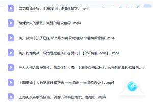 《实战搭讪Rst-Leon-Rst Leon全27集 》Leon2025情感王炸课
