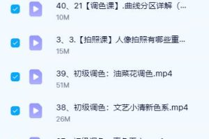 《手机拍照调色系统课》从小白到精通【蔡仲杨】