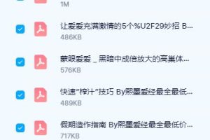 李熙墨-D系列 高巢指南 电子书