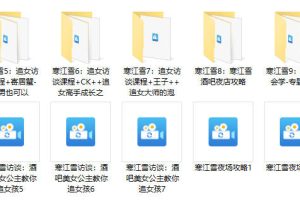 寒江雪课程合集课程，夜场集训营