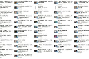 极速吸引TV《Elon下架视频合集》，独家一份